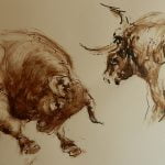 dessin-denis-mazet-combat taureaux corridas